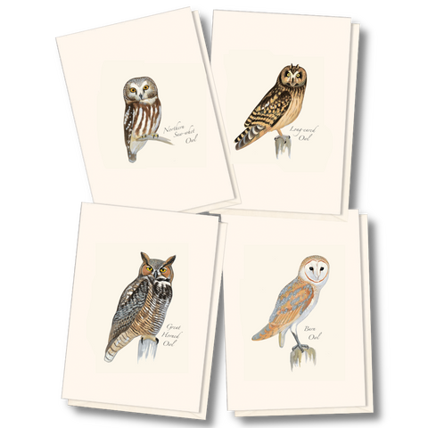 ES+W Card Set Sibley Owl Assortment