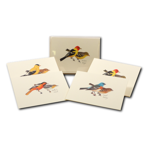 ES+W Card Set Peterson Western Bird