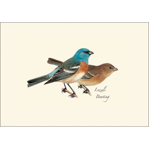 ES+W Card Set Peterson Western Bird