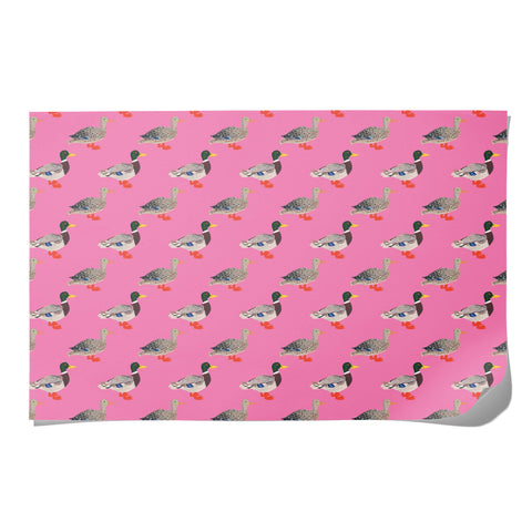 Red Cap Cards Birthday Wrapping Paper Quacky Birthday