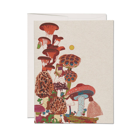 Red Cap Frog and Fungi greeting card