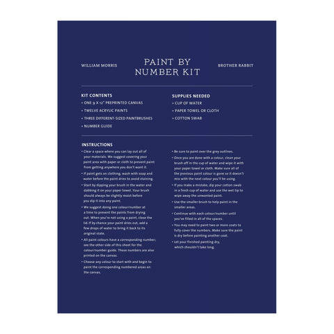 Paint by Numbers: Brother Rabbit