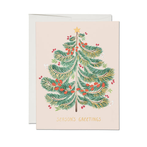 Red Cap Cards Set of Christmas Card Festive Evergreen