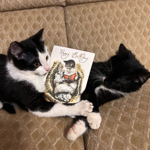 RLB Birthday Card Sleeping Kittens