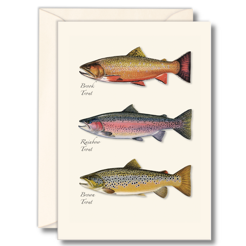 ES+W Card Set Trout Trio