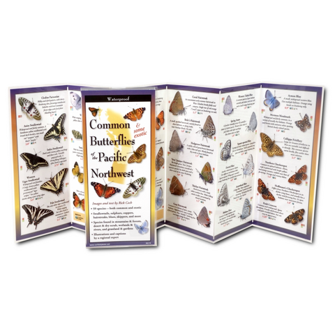 ES+W Butterflies of the Pacific Northwest