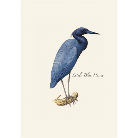 ES+W Card Heron Assortment