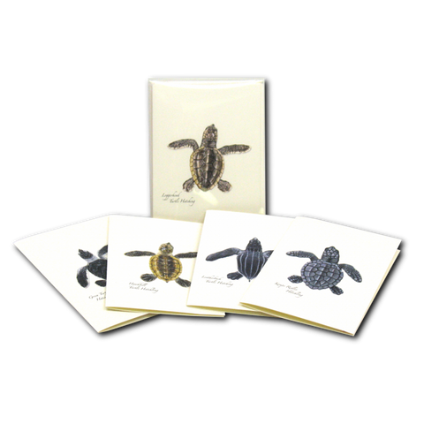ES+W Card Set Sea Turtle Hatchling