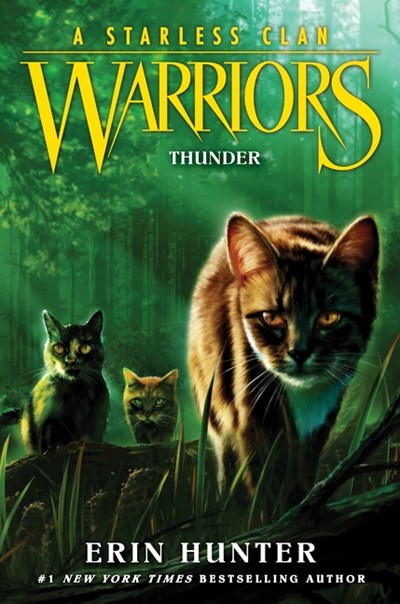 Warriors: Starless Clan #4; Thunder