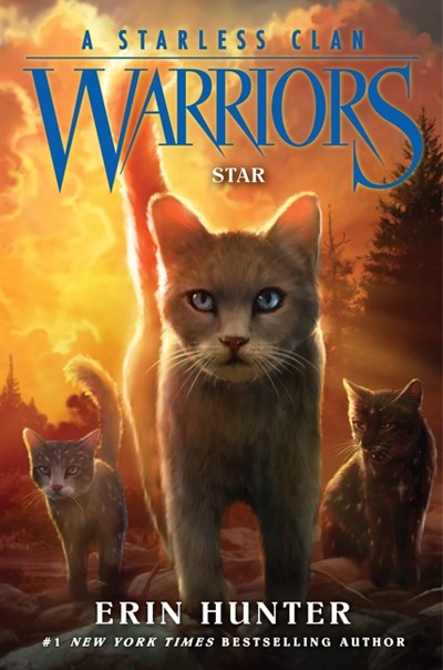 Warriors: Starless Clan #6