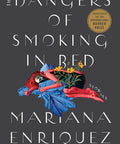 The Dangers of Smoking in Bed: Stories