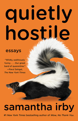 Quietly Hostile: Essays (Paperback)