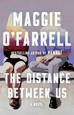 The Distance Between Us: A Novel