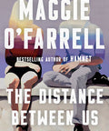 The Distance Between Us: A Novel