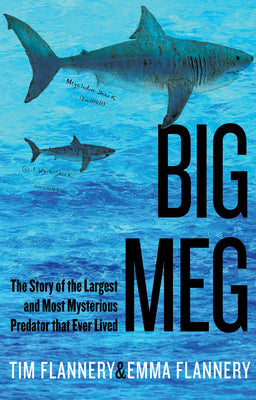 Big Meg: The Story of the Largest and Most Mysterious Predator That Ever Lived