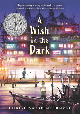 A Wish in the Dark (Paperback)