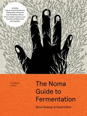 Noma Gt Fermentation