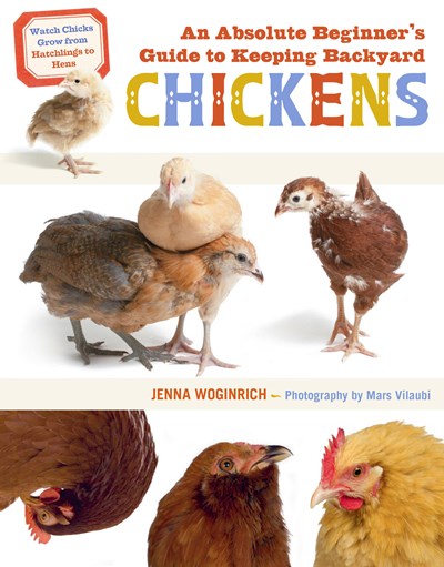 Absolute Beginner's Guide To Keeping Backyard Chickens: Watc