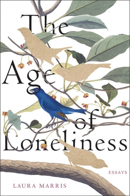 Age of Loneliness: Essays