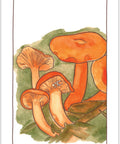 Mushroom Spotter's Deck
