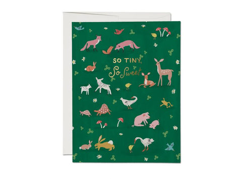 Red Cap Card Tiny Animals