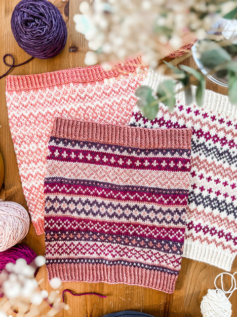 Intro to Colorwork Class (Aug 20, 27, & Sept 3)
