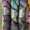 Three skeins of variegated yarn with dark gray, purple, and green color-shifting yarn, each wrapped with a black paper band labeled 'EX LIBRS'.
