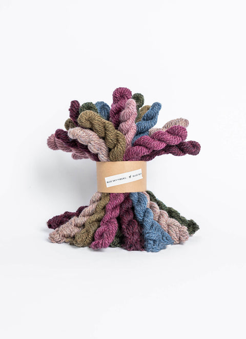 Blue Sky Woolstok 21 Minis Bundles