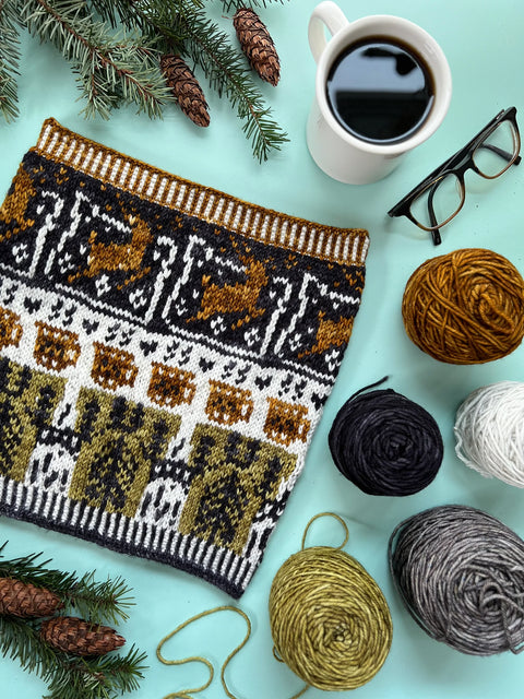Intro to Colorwork Class (Aug 20, 27, & Sept 3)