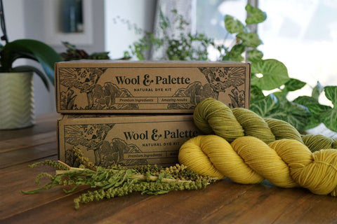 Wool & Palette Natural Dye Kit