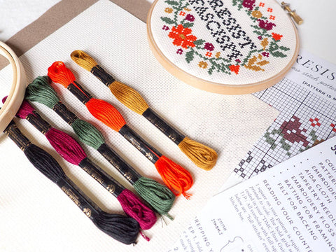 Junebug and Darlin Cross Stitch Kit Resist Fascism