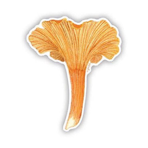 Yardia Sticker Cinnabar Chanterelle Mushroom