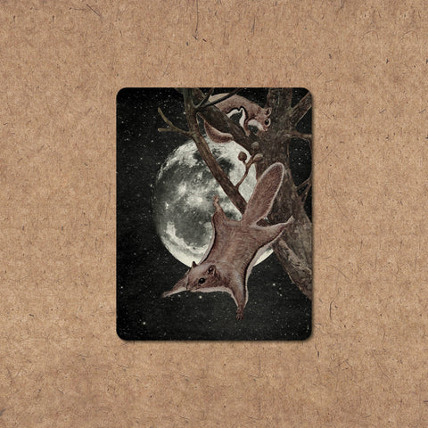 Galek Sea Sticker Squirrel Away