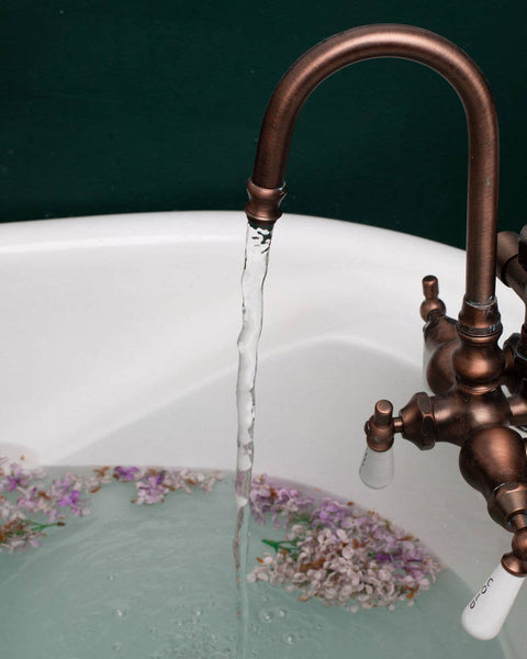 Seagrape Apothecary Milk and Clay Bath Soak