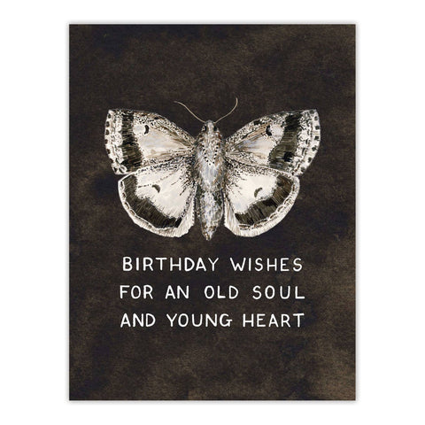 Yardia Card Moth Birthday Wishes