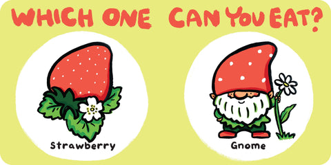 Which One Can You Eat?