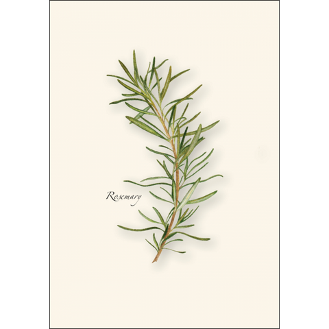 ES+W Card Set Herb Assortment