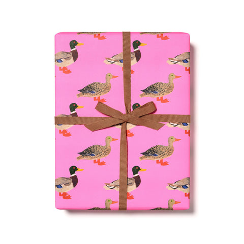Red Cap Cards Birthday Wrapping Paper Quacky Birthday