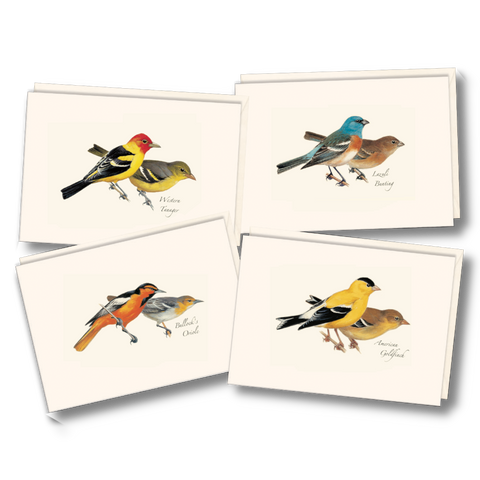 ES+W Card Set Peterson Western Bird