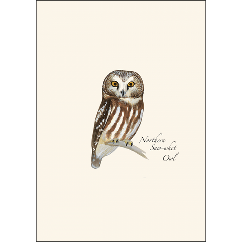 ES+W Card Set Sibley Owl Assortment
