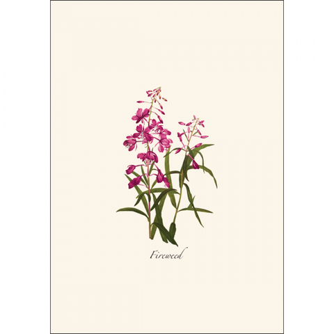 ES+W Card Set Western Wildflower Assortment