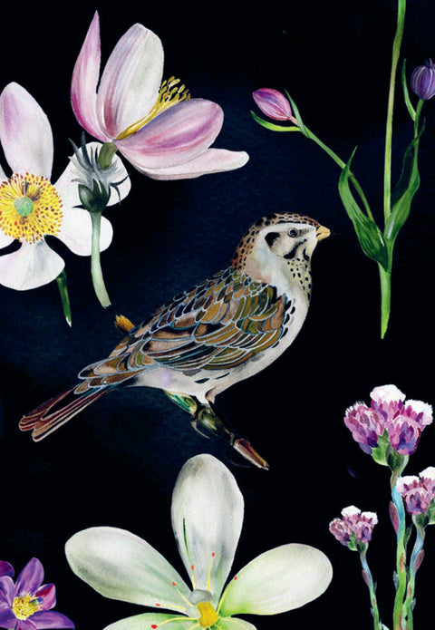 Bird Box: 100 Postcards by 10 Artists