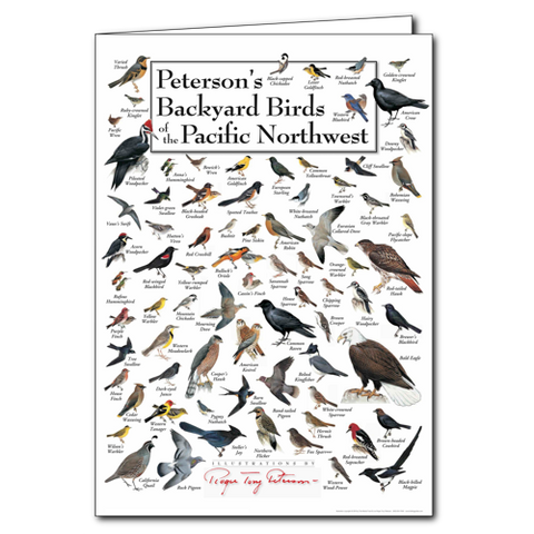 ES+W Card Peterson's Backyard Birds of Pacific NW