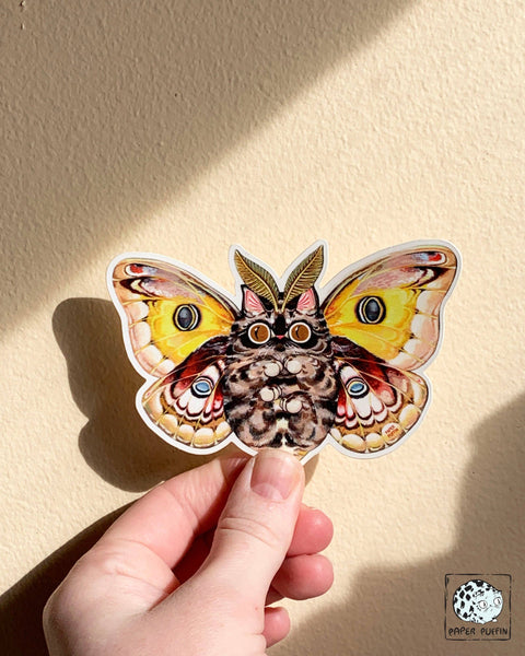 Paper Puffin Sticker Moth Cat Big Eyes