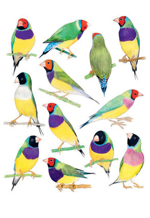 Bird Box: 100 Postcards by 10 Artists