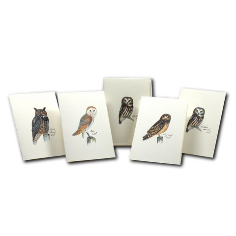 ES+W Card Set Sibley Owl Assortment