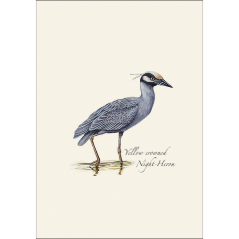 ES+W Card Heron Assortment