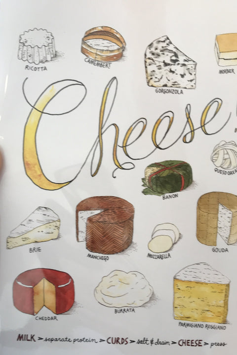 Marcella Kriebel Greeting Card Cheese