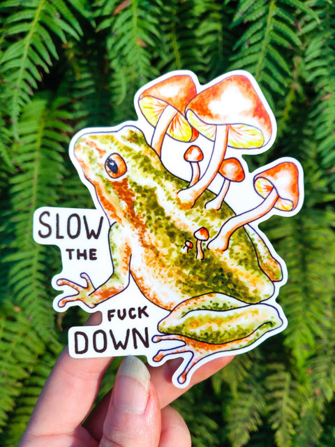 Crafted from Scratch Slow the Frog Down Rainbow Maker Suncatcher Toad Mushroom