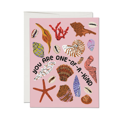 Red Cap Card Special Seashell